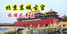 南非墨西哥一级黄色日屄屄视频中国北京-东城古宫旅游风景区